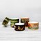 Wrapables Nature Metallic Foil Washi Tape Set for Scrapbooking, Stationery, Diary, Card Making